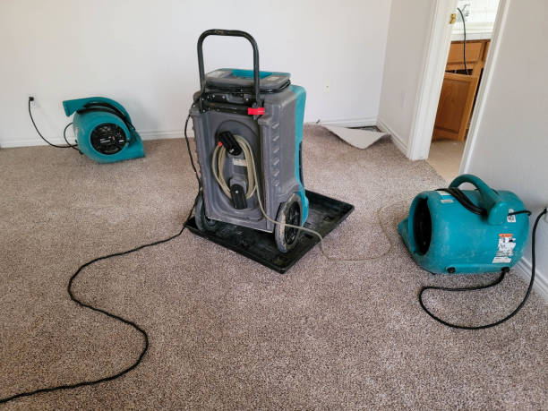 Best Basement water damage restoration  in Brentwood, PA