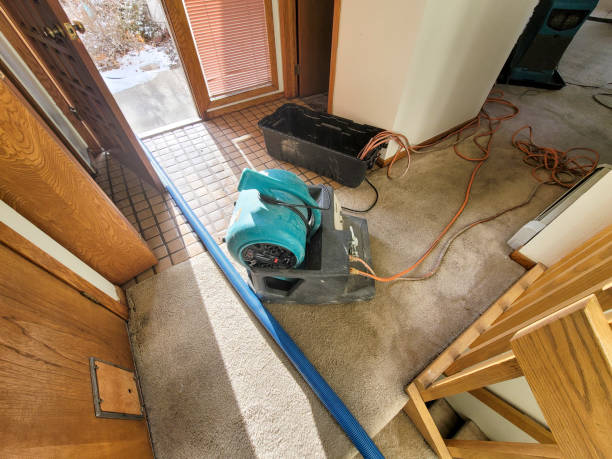 Best Residential water damage restoration  in Brentwood, PA