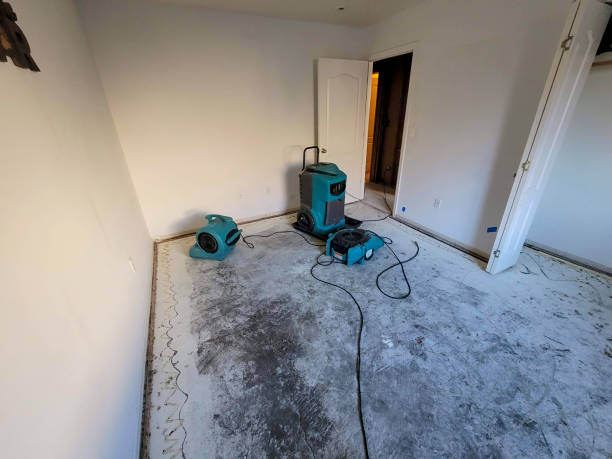 Best Flood restoration services  in Brentwood, PA