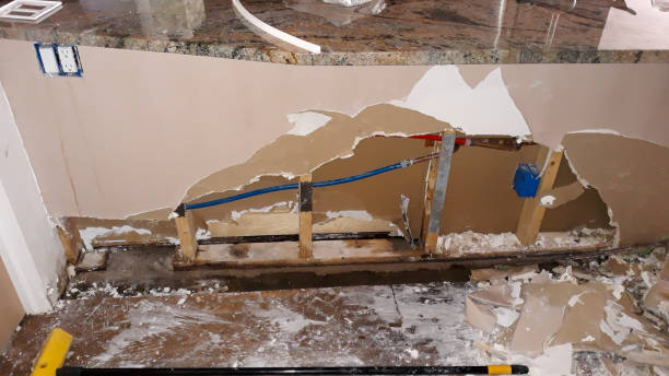 Best Local water damage restoration  in Brentwood, PA