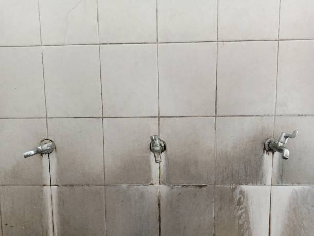 Best Water damage repair service  in Brentwood, PA