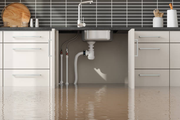  Brentwood, PA Water damage restoration Pros